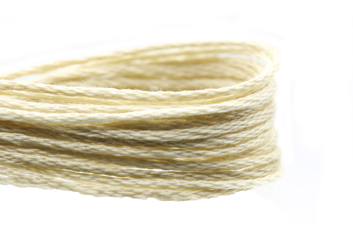 Weeks Dye Works Overdyed Floss - 1106 Beige