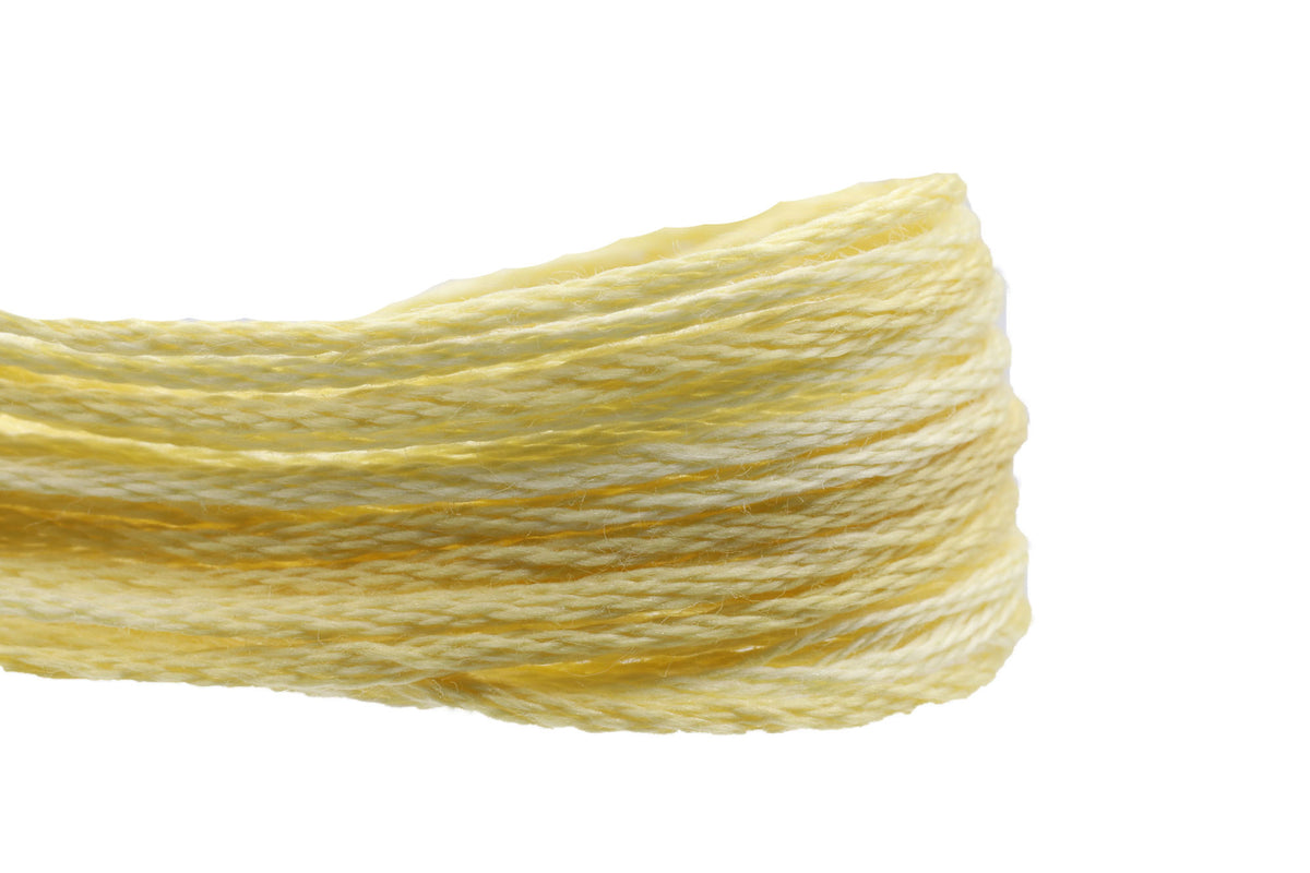 Weeks Dye Works Overdyed Floss - 1118 Goldenrod