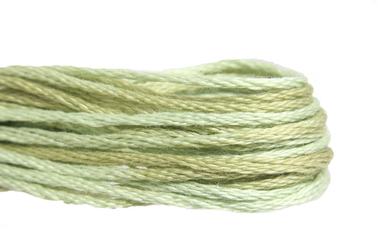 Weeks Dye Works Overdyed Floss - 1191 Dried Sage