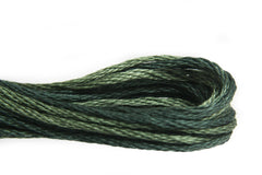 Weeks Dye Works Overdyed Floss - 2159 Seaweed