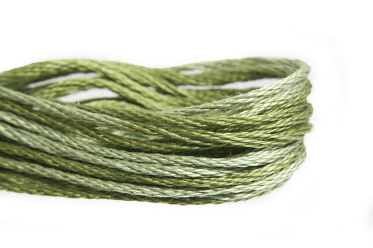 Weeks Dye Works Overdyed Floss - 2196 Scuppernong