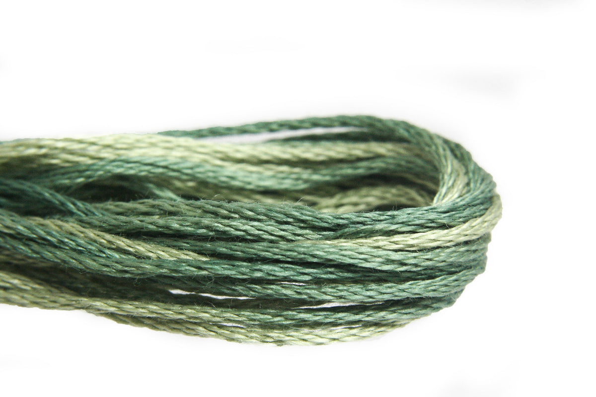 Weeks Dye Works Overdyed Floss - 2198 Ivy