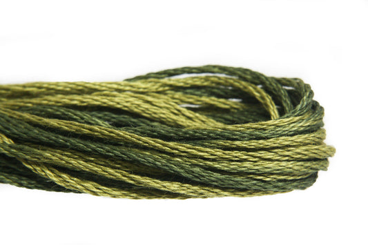 Weeks Dye Works Overdyed Floss - 2201 Moss