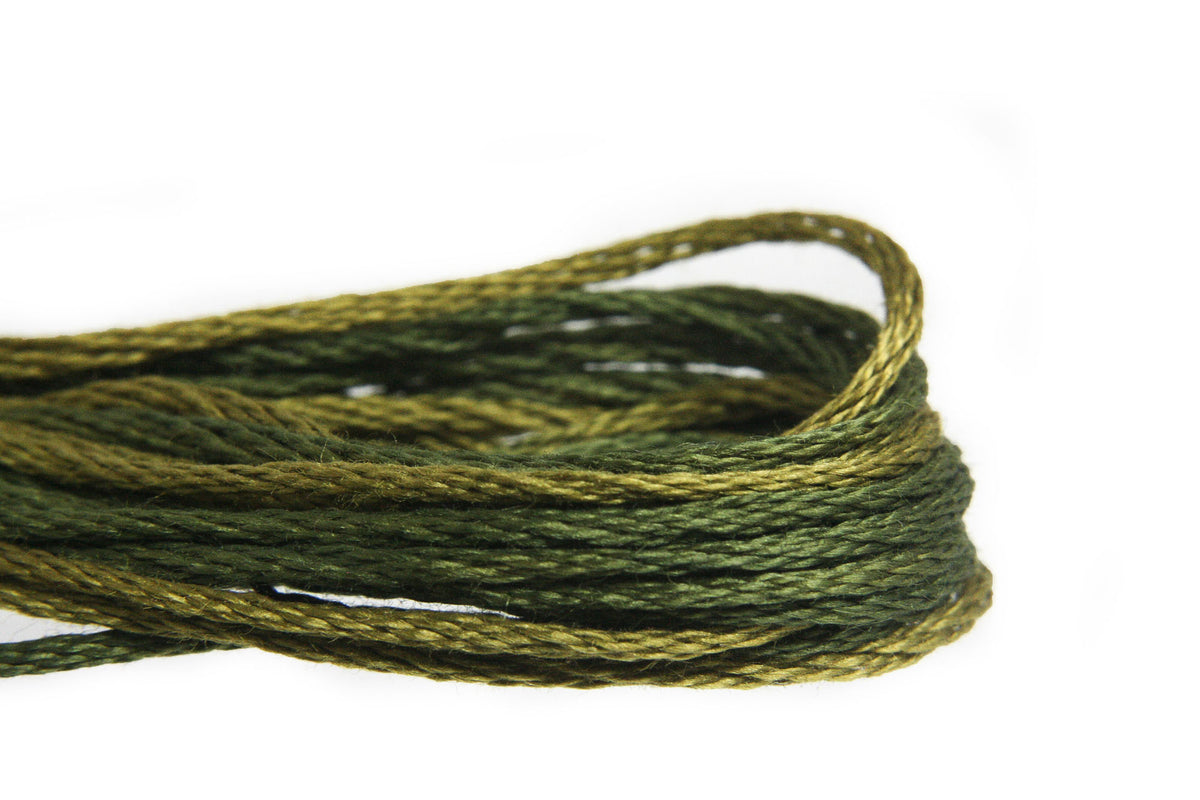 Weeks Dye Works Overdyed Floss - 2202 Bullfrog