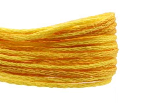 Weeks Dye Works Overdyed Floss - 2246 Sunset