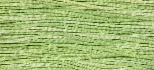 Weeks Dye Works Overdyed Floss - 1120 Wasabi