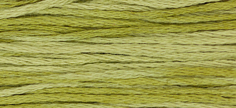 Weeks Dye Works Overdyed Floss - 1193 Guacamole