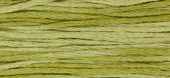 Weeks Dye Works Overdyed Floss - 1193 Guacamole