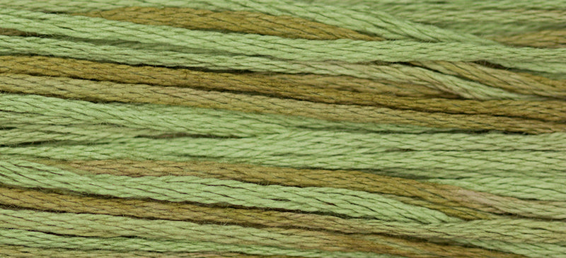 Weeks Dye Works Overdyed Floss - 1261 Celadon