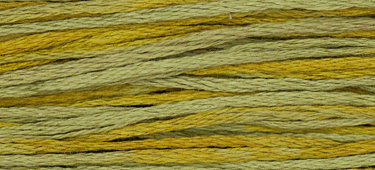 Weeks Dye Works Overdyed Floss - 1264 Loden