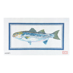 Ann Kaye Studio Striped Bass Needlepoint Canvas