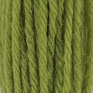 Appleton Tapestry Hank - 543 Early English Green Medium Light