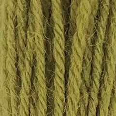 Appleton Tapestry Hank - 242 Olive Green Light