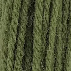 Appleton Tapestry Hank - 355 Grey Green Medium