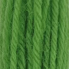 Appleton Tapestry Hank - 424 Leaf Green