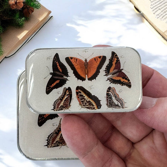 Firefly Notes Orange Butterflies Magnetic Notions Tin Needle Case