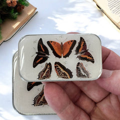 Firefly Notes Orange Butterflies Magnetic Notions Tin Needle Case