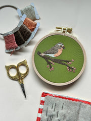 M Creative J Spring Robin Bird Embroidery Kit
