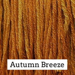 Close-up of warm copper‑orange silk embroidery floss with subtle golden variegation, labeled “Autumn Breeze.”