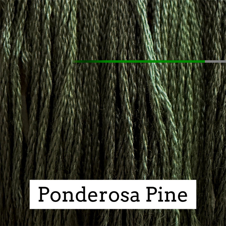 Close-up of dark forest‑green cotton embroidery floss with subtle sage and brown variegation, labeled “Ponderosa Pine.”