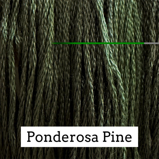 Close-up of dark forest‑green cotton embroidery floss with subtle sage and brown variegation, labeled “Ponderosa Pine.”