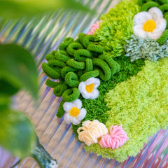 Craft Club Daisy Moss Coaster Kit