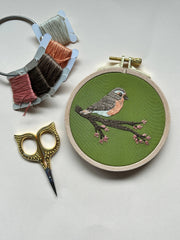 M Creative J Spring Robin Bird Embroidery Kit