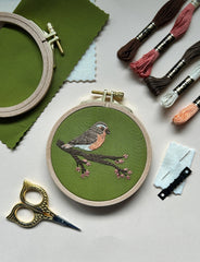 M Creative J Spring Robin Bird Embroidery Kit