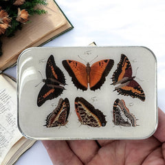 Firefly Notes Orange Butterflies Magnetic Notions Tin Needle Case