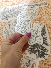 M Creative J Forest Forage Peel Stick and Stitch Embroidery Patterns
