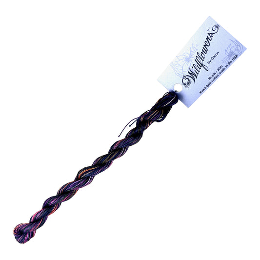 Enriched Threads Caron Collection Wildflowers - 997 Gemstones