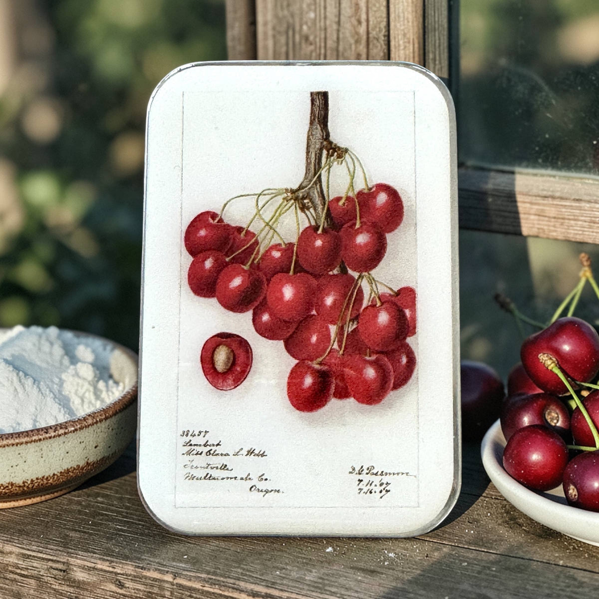 Firefly Notes Botanical Cherry Notions Magnetic Tin Needle Case