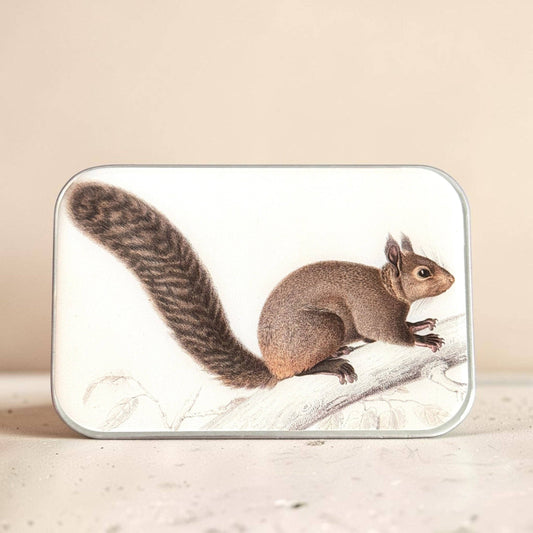 Firefly Notes Brown Squirrel Notions Magnetic Tin Needle Case