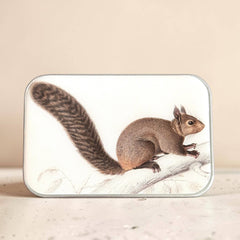 Firefly Notes Brown Squirrel Notions Magnetic Tin Needle Case