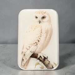 Firefly Notes Snowy Owl Notions Magnetic Tin Needle Case