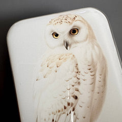 Firefly Notes Snowy Owl Notions Magnetic Tin Needle Case