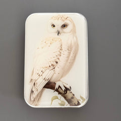 Firefly Notes Snowy Owl Notions Magnetic Tin Needle Case