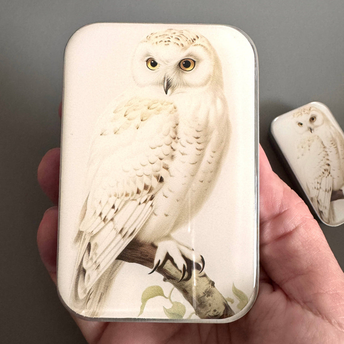 Firefly Notes Snowy Owl Notions Magnetic Tin Needle Case