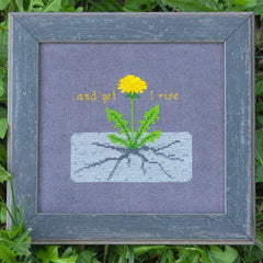 Framed cross stitch of a yellow dandelion growing through a cracked concrete surface, with the stitched words “and yet I rise” above it, displayed on dark fabric and photographed against green grass.