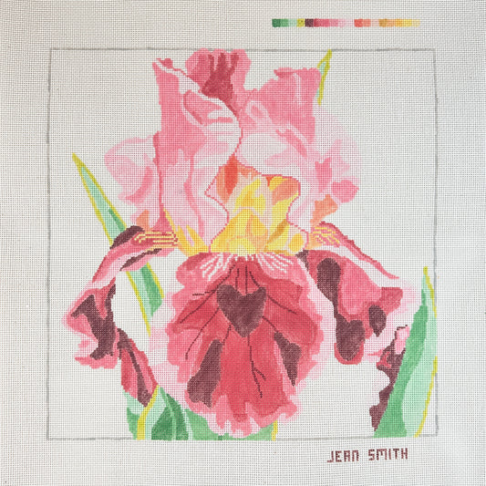 Jean Smith Designs Wine and Roses Iris Needlepoint Canvas