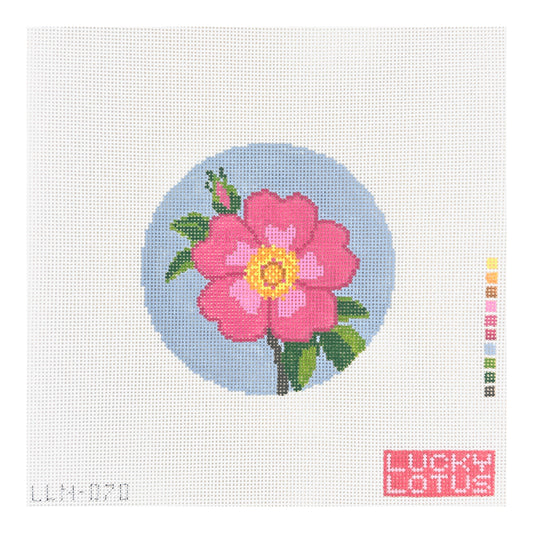 Lucky Lotus Needlepoint Flowers of America Iowa and North Dakota Wild Prairie Rose Needlepoint Canvas