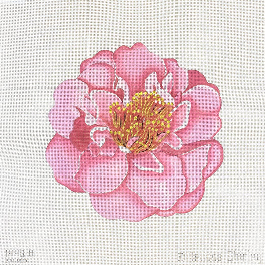 Melissa Shirley Designs Light Pink Camellia Needlepoint Canvas