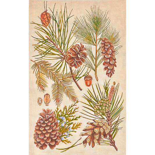 Melissa Shirley Designs Mary Lake Thompson Pine Cones Needlepoint Canvas
