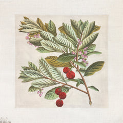 Melissa Shirley Designs Strawberry Tree Needlepoint Canvas