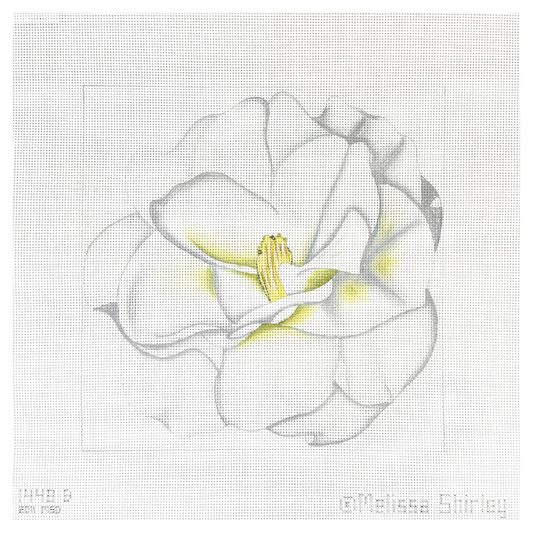 Melissa Shirley Designs White Camellia Needlepoint Canvas