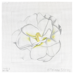 Melissa Shirley Designs White Camellia Needlepoint Canvas