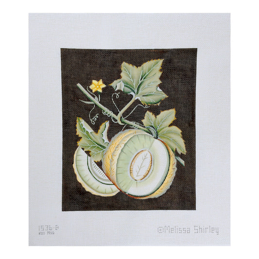 Melissa Shirley Designs White Melon by Melissa Shirley Needlepoint Canvas
