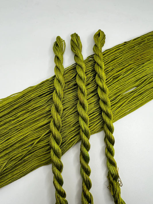 Pirate + Robin 6 Strand Embroidery Floss - Cactus