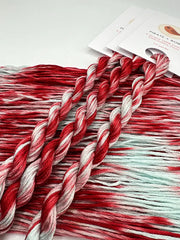 Pirate + Robin Variegated 6 Strand Embroidery Floss - Cherry Mint