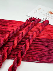 Pirate + Robin Variegated 6 Strand Embroidery Floss - Cranberry